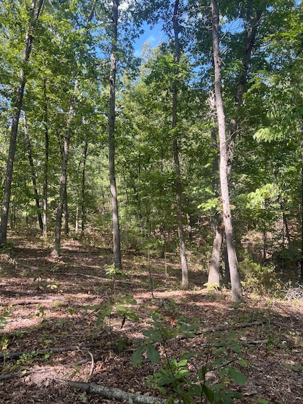 000 State Highway 76, Ava, MO 65608