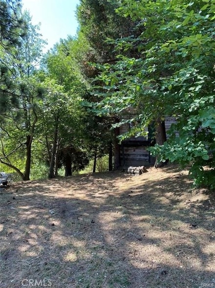 0 Pine Dr Unit OC24064068, Cedarpines Park, CA 92325