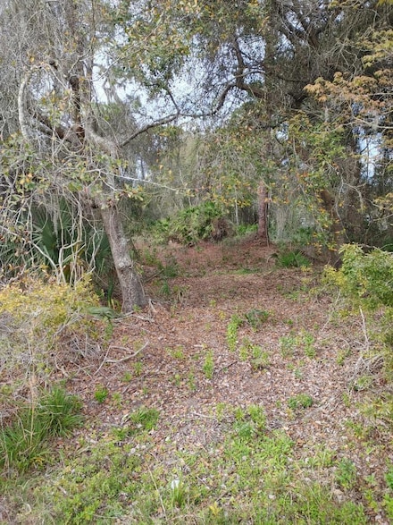 165 Us Hwy 301, Lochloosa, FL 32662