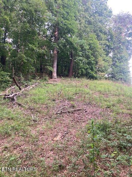 0 Old Highway 411 Unit 1266211, Chatsworth, GA 30705