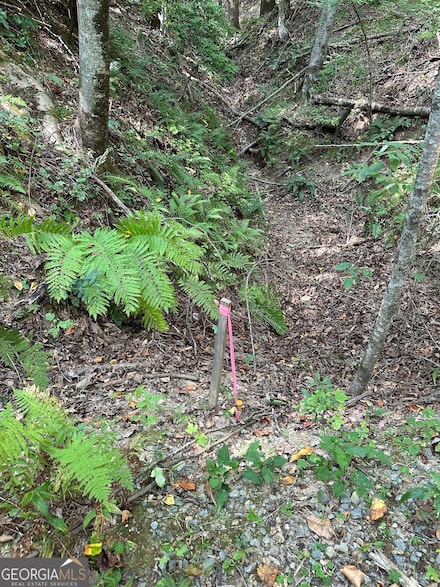Tract A Fielder Rd, Ellijay, GA 30536