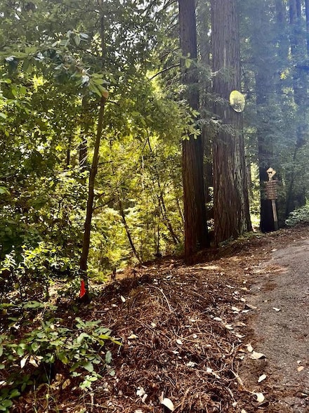 0 Waldeberg Rd, Ben Lomond, CA 95005