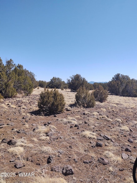 182 Irwin Ave, Concho, AZ 85924