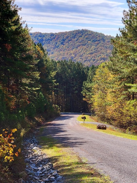 LOT 6 Black Bear Ridge Rd, Ellijay, GA 30536