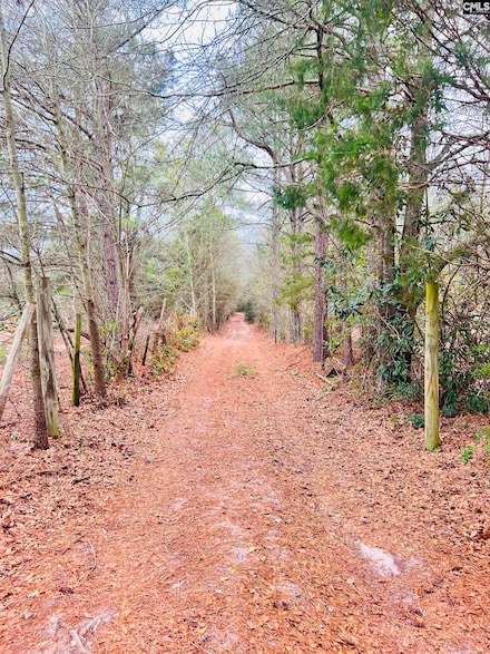 0 Hanahan Ln, Leesville, SC 29070