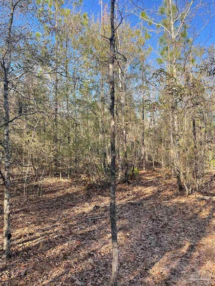 0000 Walling Rd, Milton, FL 32570