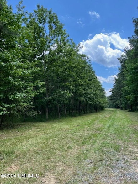 0 Lewis Rd, Walnut Grove, MS 39189