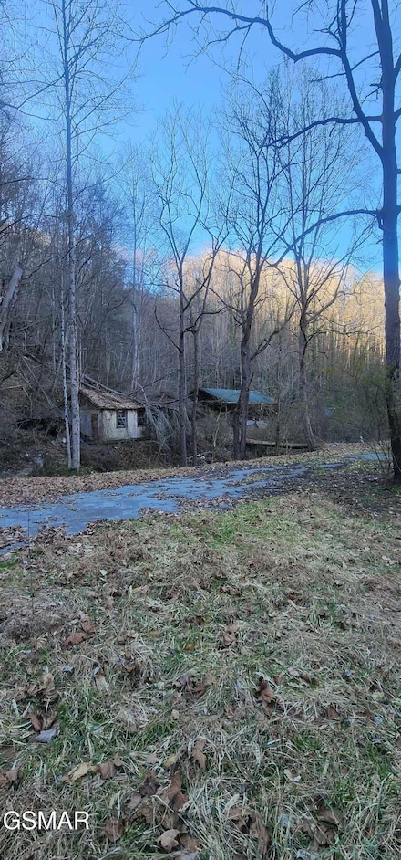 4246 Birds Creek Rd, Sevierville, TN 37876