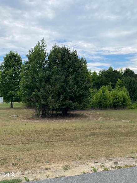 221 Thornton's Creek Dr, Erwin, NC 28339