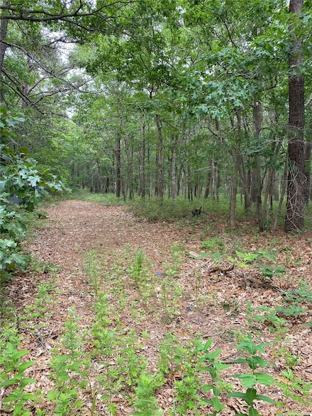 v/l Wading River Rd, Manorville, NY 11949