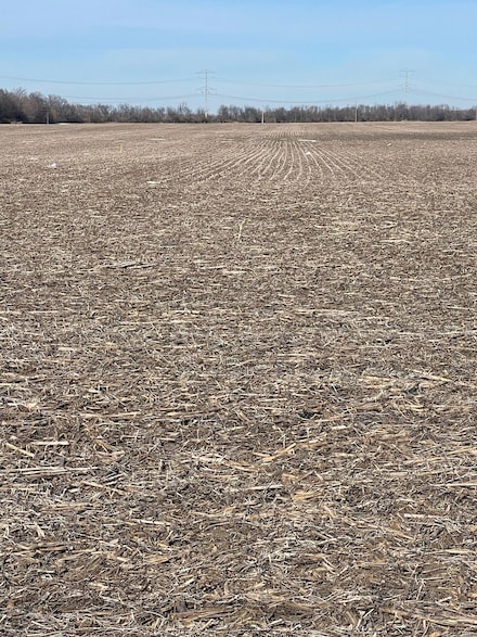 0 W Wilmington Rd, Custer Park, IL 60481