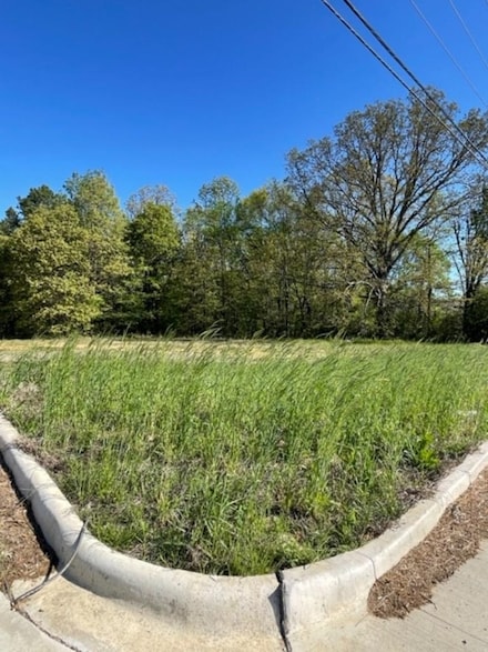 Lot 1 Farmer Hills, Jonesboro, AR 72404
