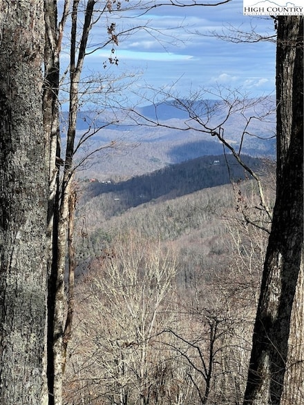 142 Chestnut Way, Beech Mountain, NC 28604