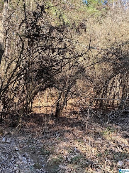 0 Crestwood Rd Unit 116 1311025, Talladega, AL 35160