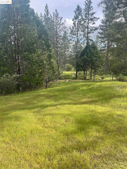 00 Italian Bar Rd, Twain Harte, CA 95383