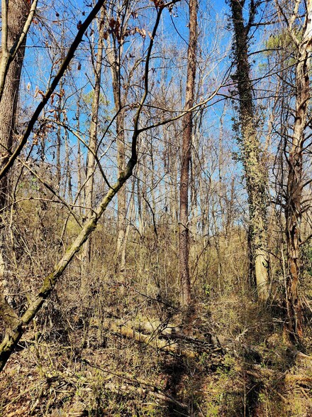 8815 Gann Rd, Soddy Daisy, TN 37379