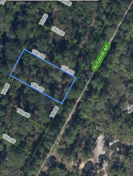 1408 Rutledge Ave, Lake Placid, FL 33852