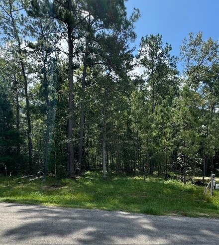 109 N Forest Dr, Huntsville, TX 77340