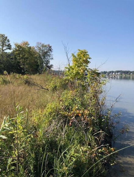 1 Pike Ln, Union, MI 49130