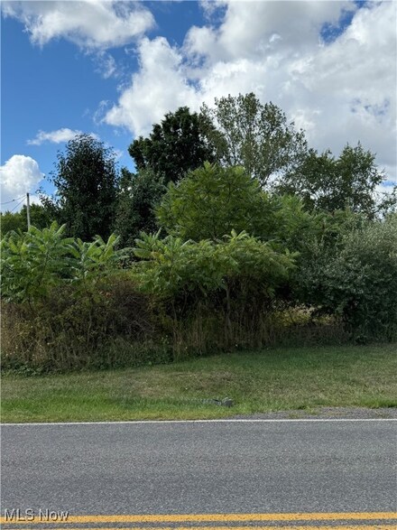 V/L Sherman Rd, Kent, OH 44240