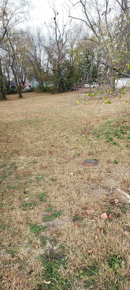 619 W Morrow, Buffalo, MO 65622