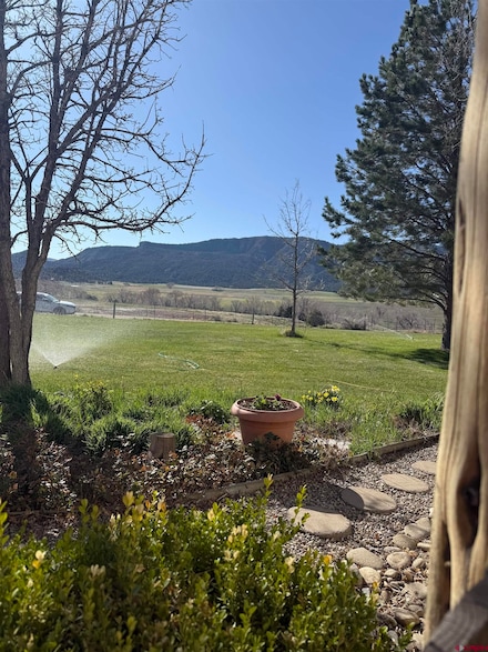 6875 Road 38, Mancos, CO 81328