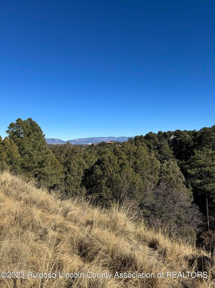 1401 High Mesa Rd, Alto, NM 88312