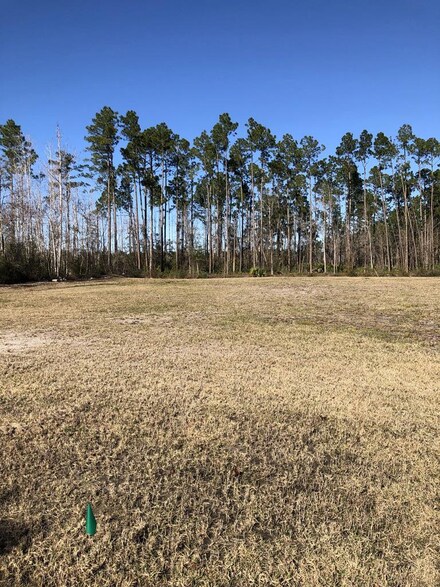 Lot 1 Sealy Dr, Wewahitchka, FL 32465