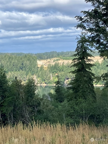 4 E Lone Fir Dr E Unit Div 2, Shelton, WA 98584