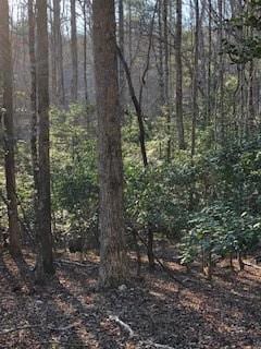 Lot 5 Still Rd, Dahlonega, GA 30533
