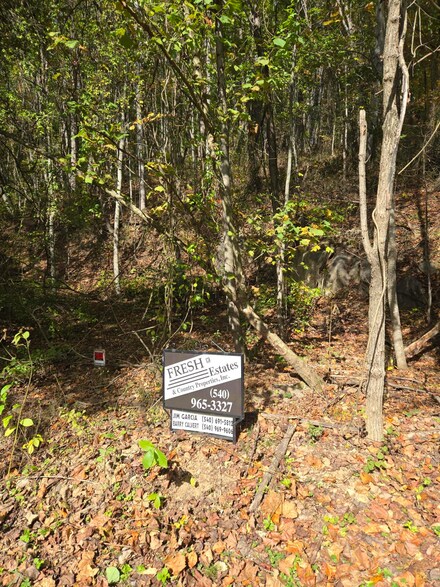 TBD Morris Hollow Rd, Clifton Forge, VA 24422