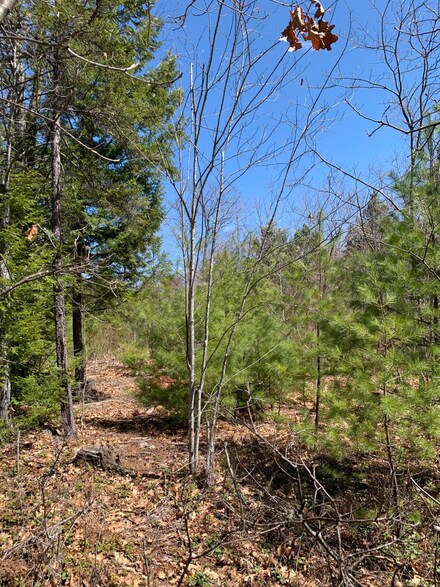 Lot 97B Frost Farm Rd, Bridgton, ME 04009