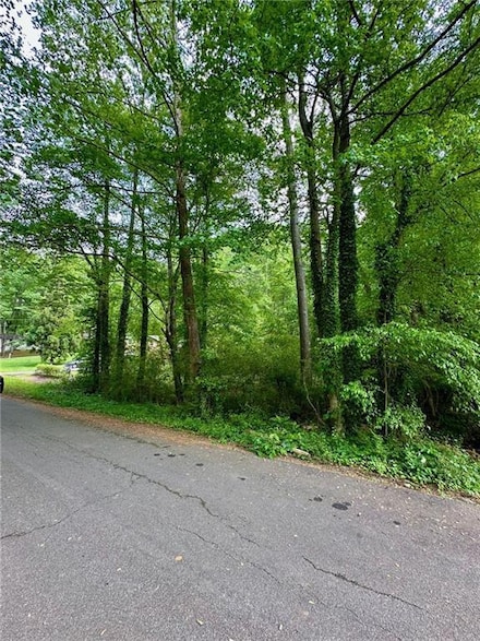 1497 Dogwood Ln, Acworth, GA 30102
