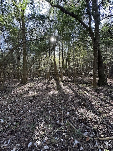80 County Road 27, Clayton, AL 36016