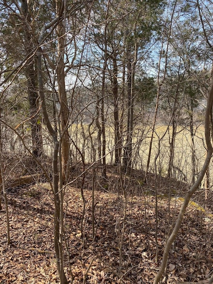 Lot 1 N Fork Rd, Burnside, KY 42519