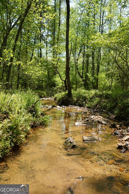 0 Rizzitello Ln Unit 10404451, Blairsville, GA 30512
