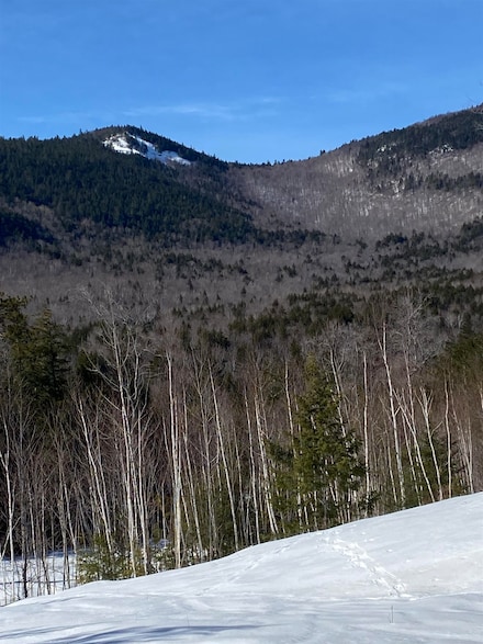 F8 Cave Mountain Rd, Bartlett, NH 03838