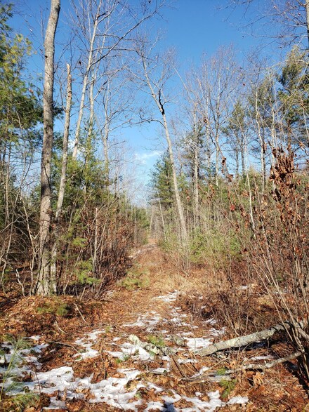 TBD S Waterboro Road Brock Rd, Lyman, ME 04002