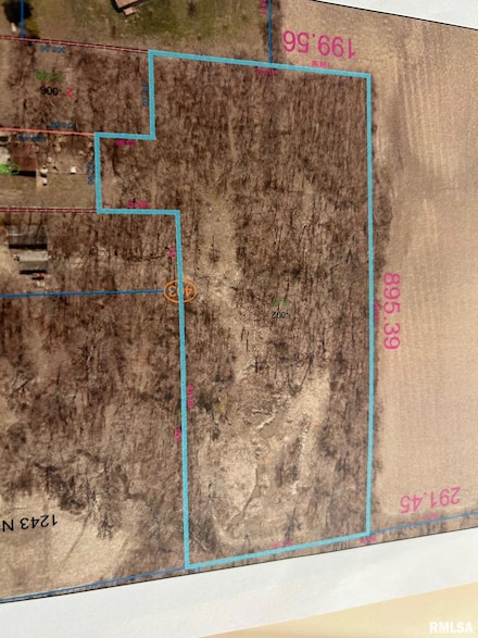 1235 N 1600 Rd E, Taylorville, IL 62568