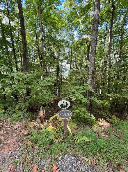 72 Wilderness Creek Way, Murphy, NC 28906