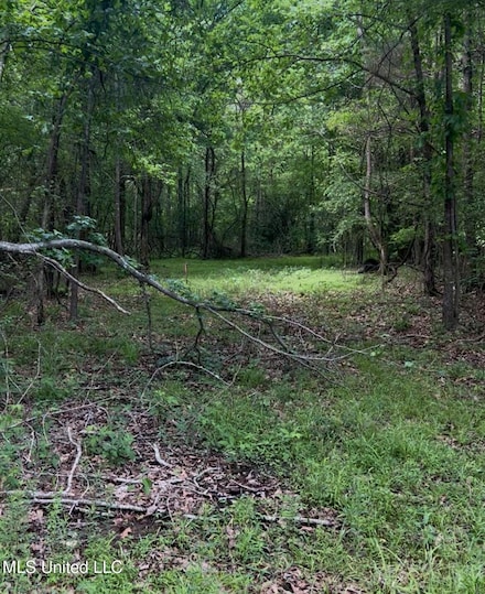 5135 U S 51, Hernando, MS 38632