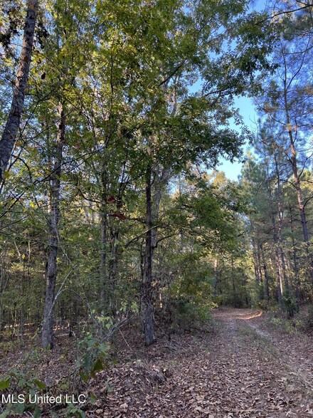 910 Harmony Rd, Duck Hill, MS 38925