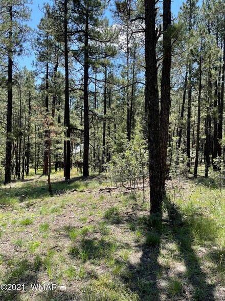 25 County Rd 2066 Unit LOT 77, ALPINE VILLA, Alpine, AZ 85920