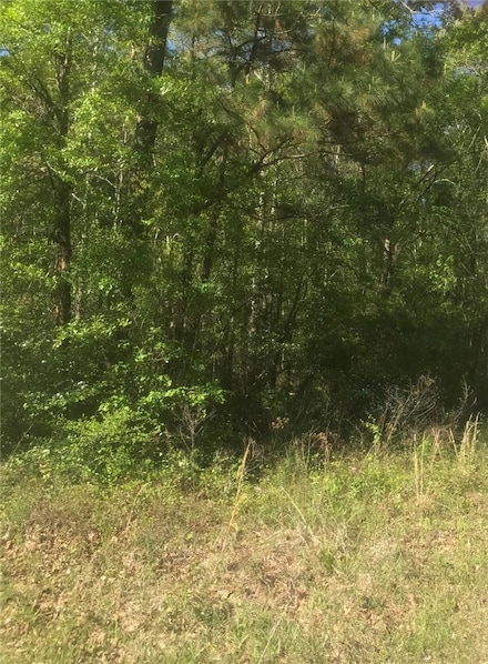 TBD Clyde Parker Rd, Ragley, LA 70657