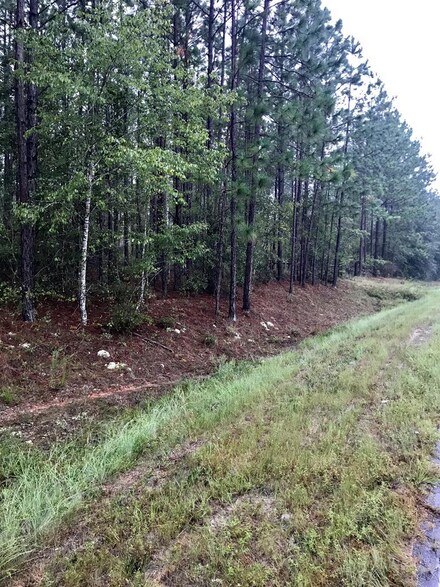 0 Tulip Unit 131617, Rebecca, GA 31750