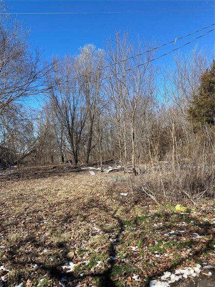 0 Miller Rd, Cadet, MO 63630