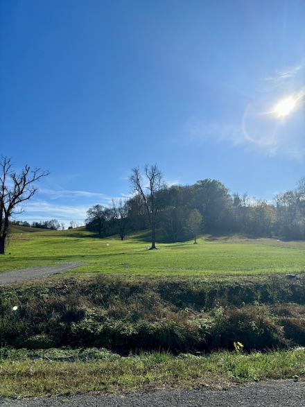 5 John Brinkley Rd, Shelbyville, TN 37160
