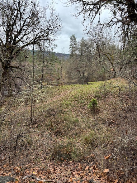 0 Crowfoot Rd, Trail, OR 97541