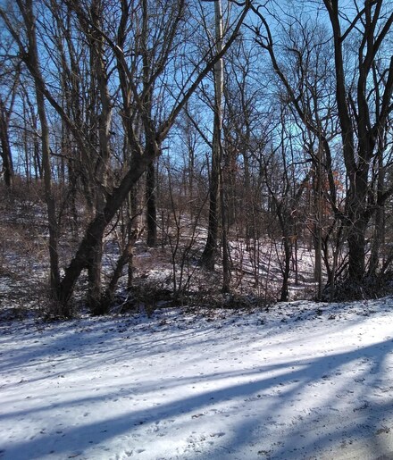 TBD W 650 N, Ligonier, IN 46767