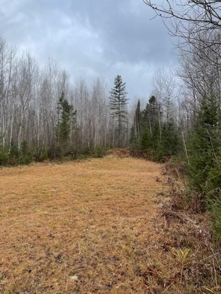 240 ACRES Forks Rd, Merrill, WI 54452